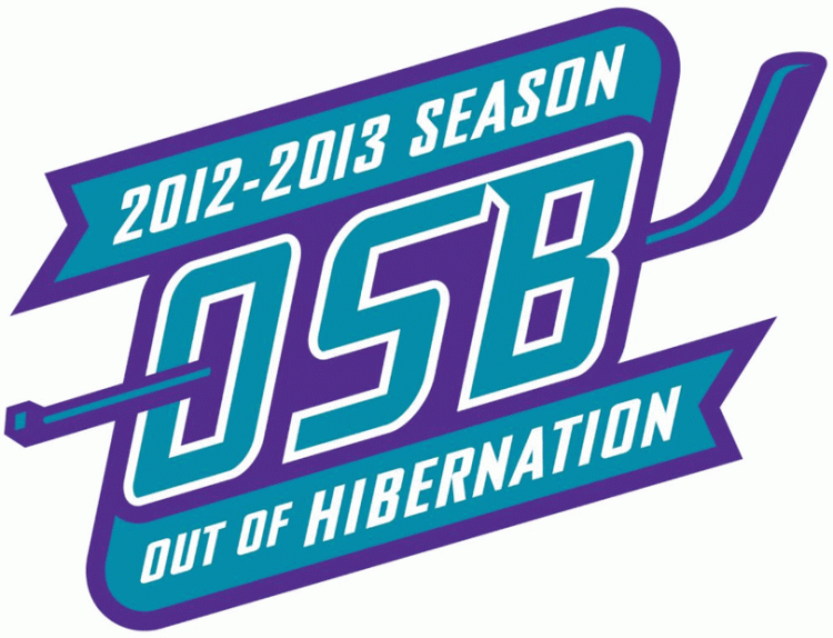 orlando solar bears 2012 anniversary logo iron on heat transfer